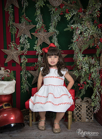 Navidad 2017-252