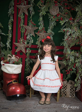 Navidad 2017-251
