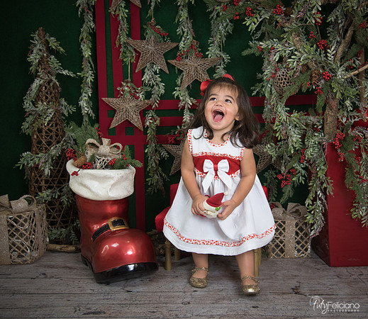 Navidad 2017-204