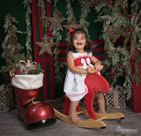 Navidad 2017-311
