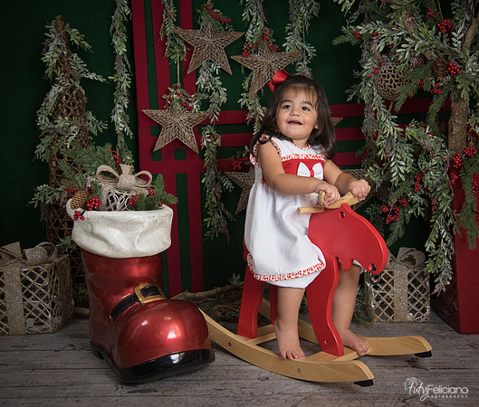 Navidad 2017-281