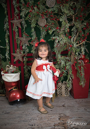 Navidad 2017-195