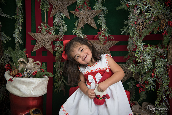 Navidad 2017-214