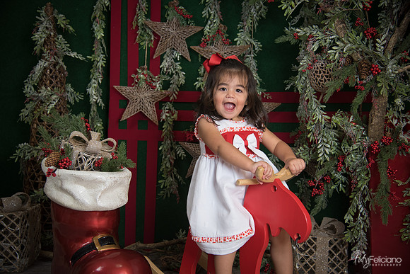 Navidad 2017-293