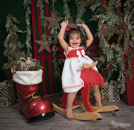 Navidad 2017-303