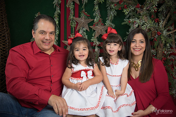 Navidad 2017-120