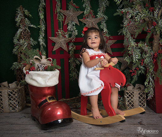 Navidad 2017-280
