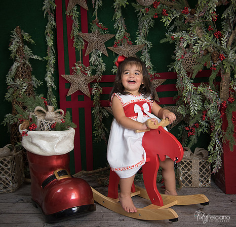 Navidad 2017-313