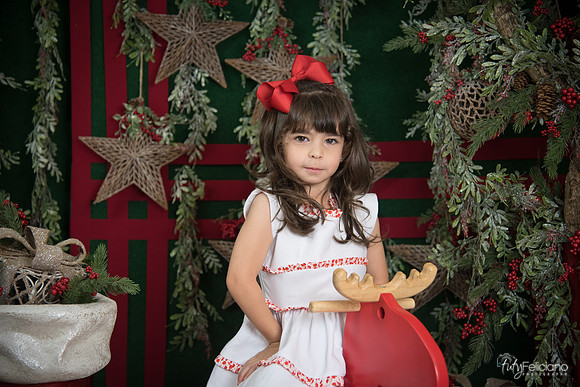 Navidad 2017-261