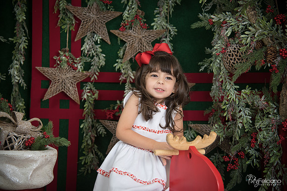 Navidad 2017-265
