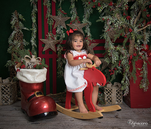 Navidad 2017-274