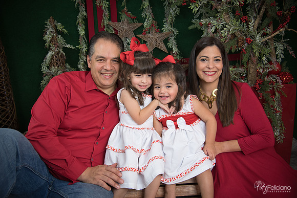 Navidad 2017-119