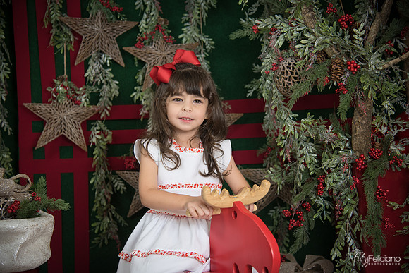 Navidad 2017-259