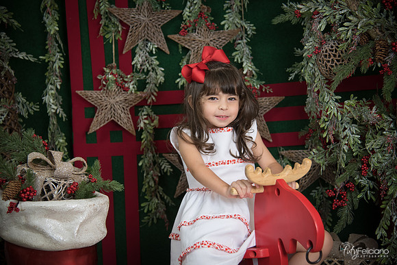 Navidad 2017-255