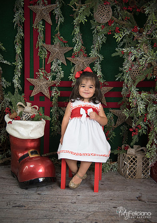 Navidad 2017-152