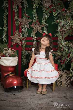 Navidad 2017-237