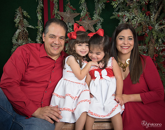 Navidad 2017-116