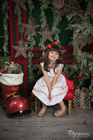 Navidad 2017-223