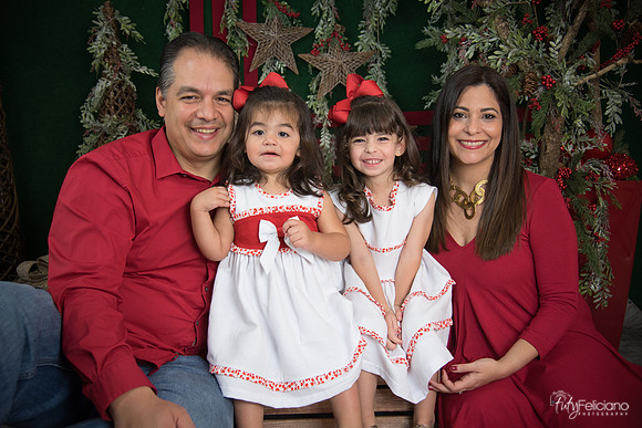 Navidad 2017-126