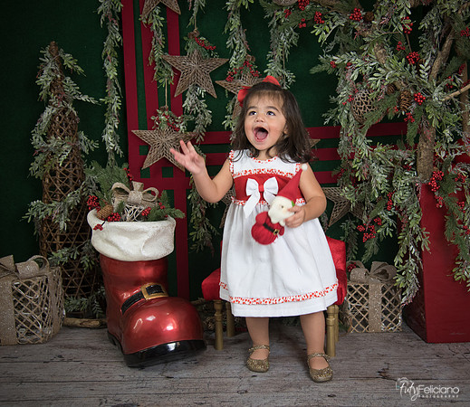 Navidad 2017-207