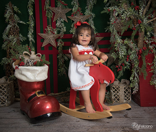Navidad 2017-277