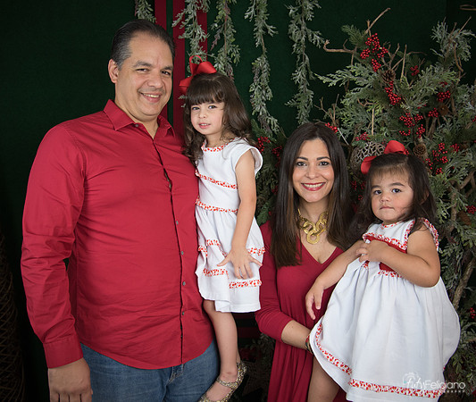 Navidad 2017-49