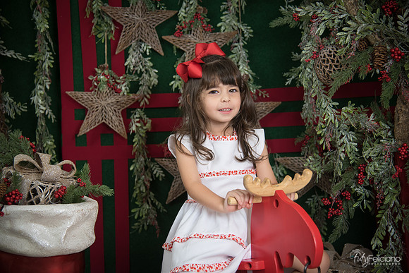 Navidad 2017-256