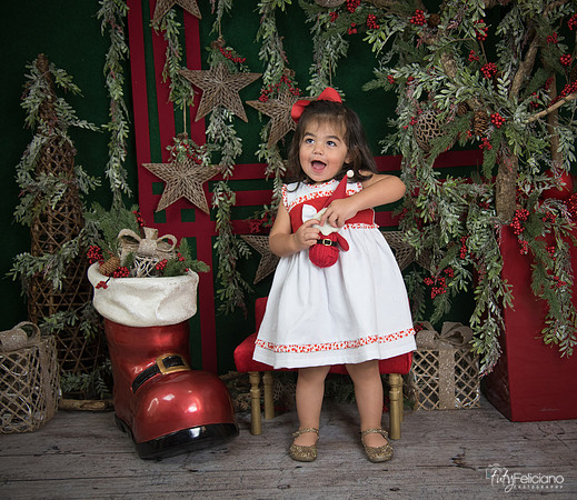 Navidad 2017-210