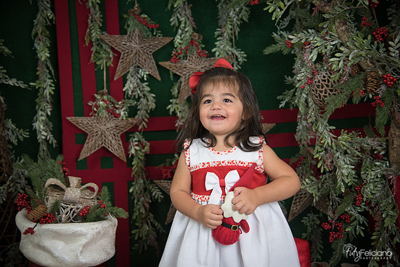 Navidad 2017-212