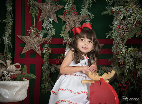 Navidad 2017-266