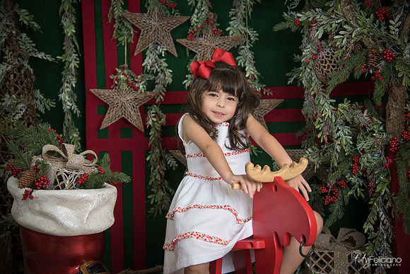 Navidad 2017-254