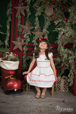 Navidad 2017-250