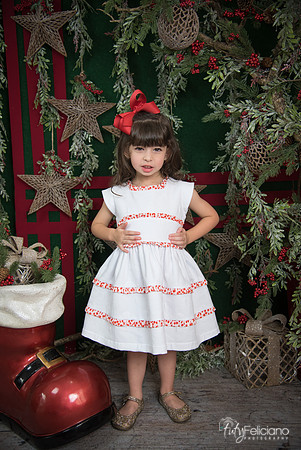Navidad 2017-26