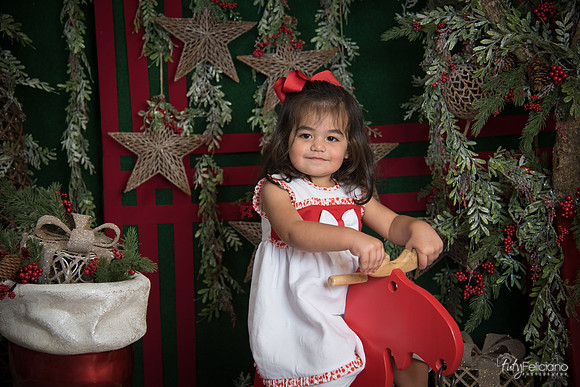 Navidad 2017-285