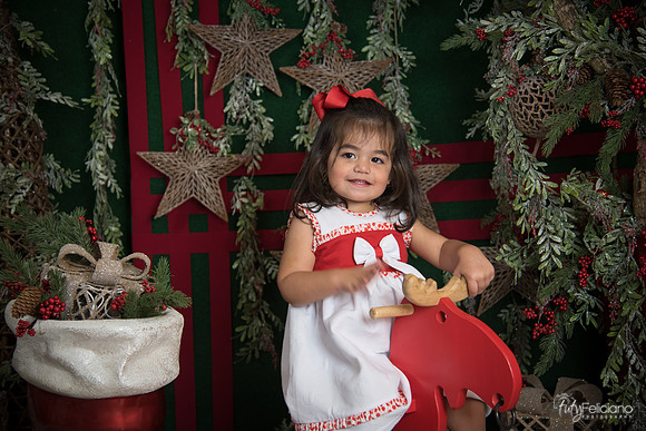 Navidad 2017-286