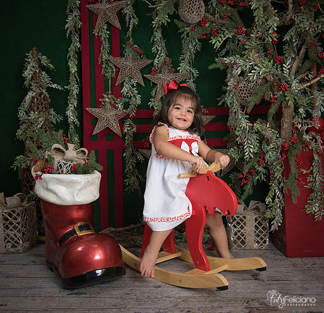 Navidad 2017-298
