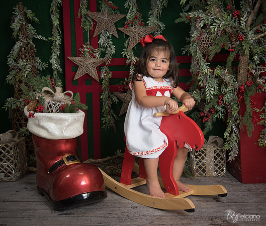Navidad 2017-278