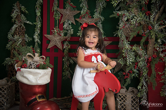 Navidad 2017-292
