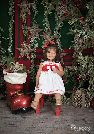 Navidad 2017-151