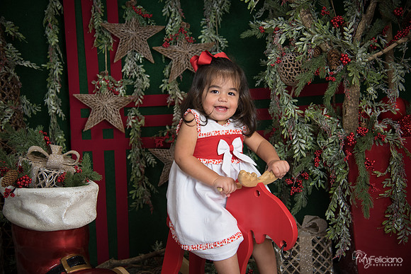 Navidad 2017-291