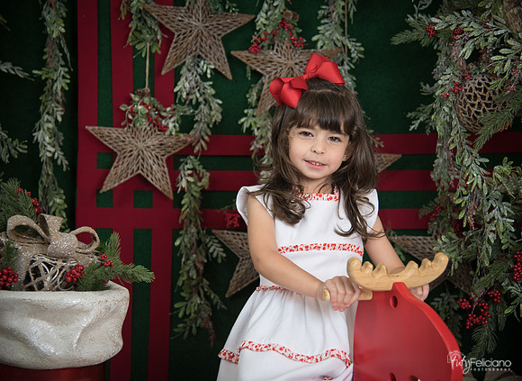 Navidad 2017-267