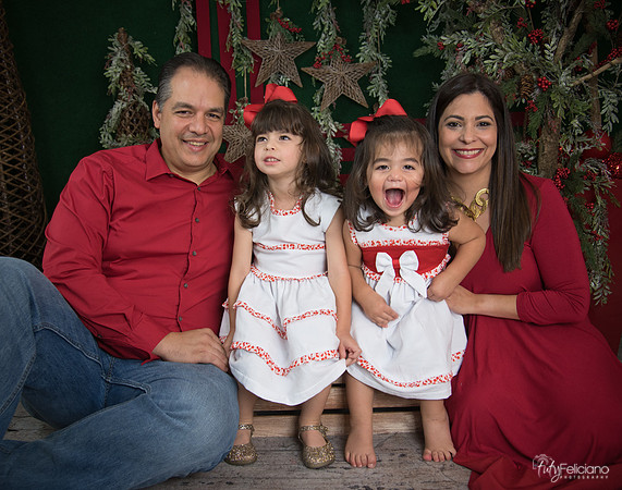 Navidad 2017-110