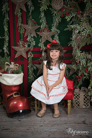 Navidad 2017-226