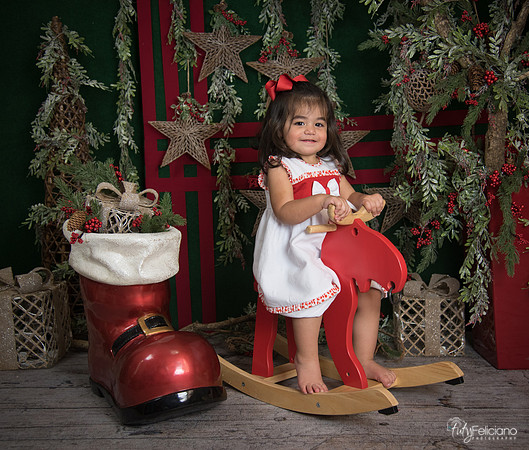 Navidad 2017-279