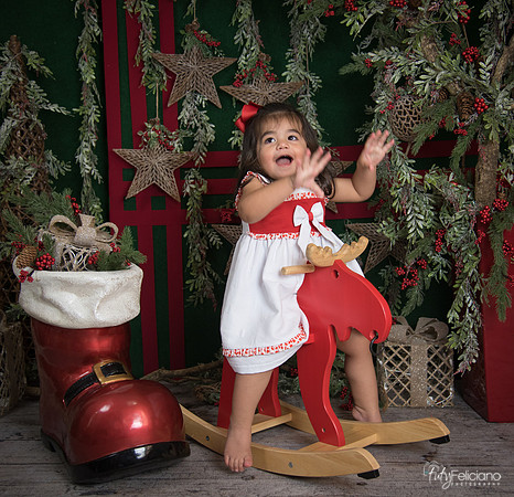 Navidad 2017-299