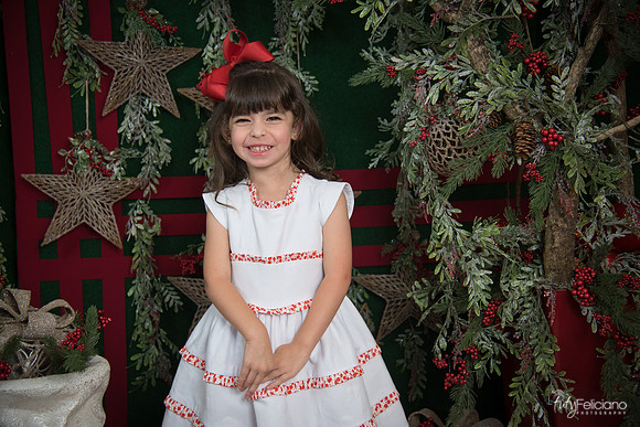Navidad 2017-13