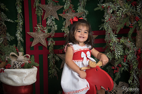 Navidad 2017-287