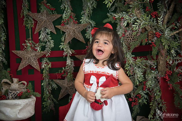 Navidad 2017-213