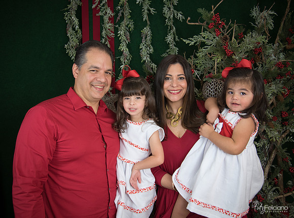 Navidad 2017-54