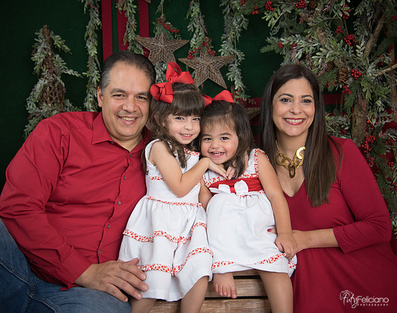Navidad 2017-118